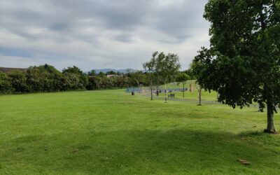 Community Litter Pick